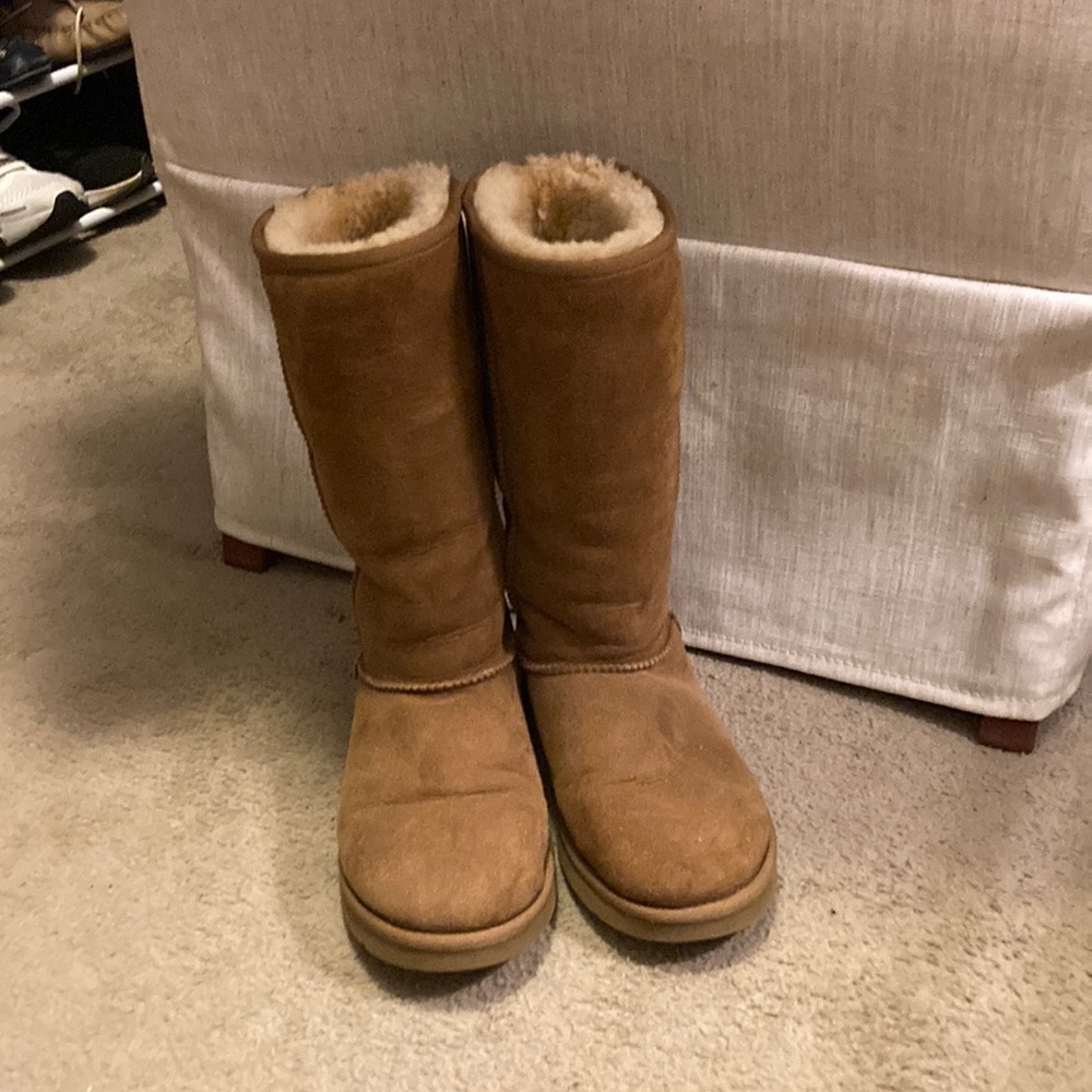 Classic Short Ugg Boot in Chestnut.